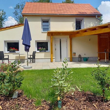 Ferienhaus Richtermuehle Sebnitz Exteriör bild
