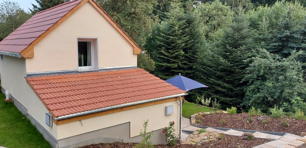 Ferienhaus Richtermuehle Sebnitz Exteriör bild