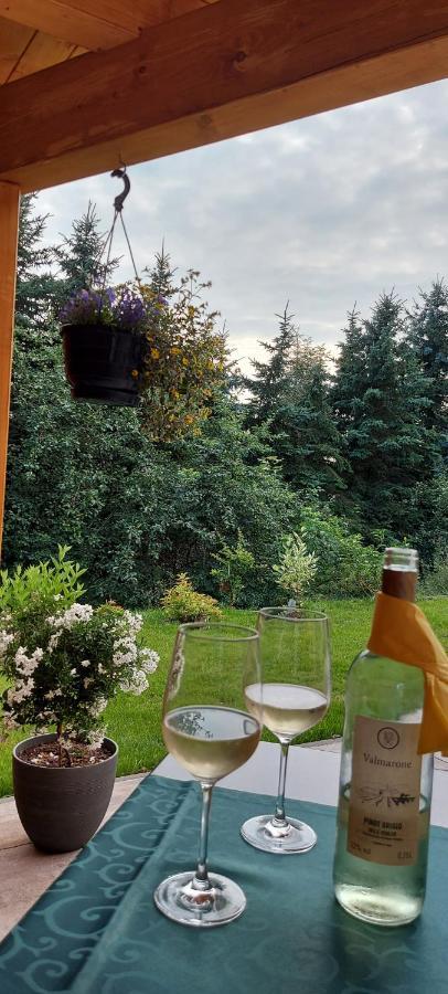 Ferienhaus Richtermuehle Sebnitz Exteriör bild